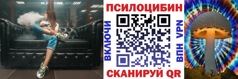 где купить Аткарск Галлюциногенные грибы прущие грибы