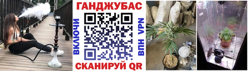 как найти Аткарск Бошки Шишки White Widow